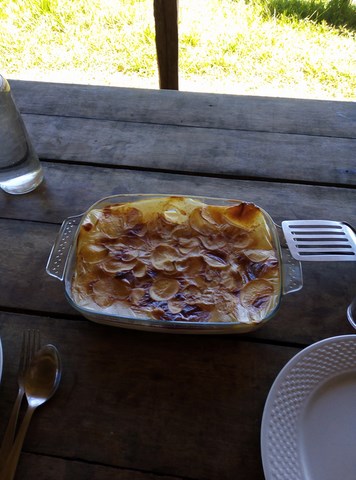 gratin dauphinois